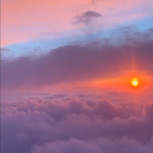 Meet your Posher, Sammy